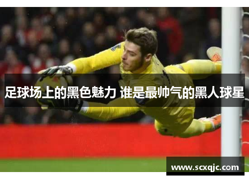 足球场上的黑色魅力 谁是最帅气的黑人球星