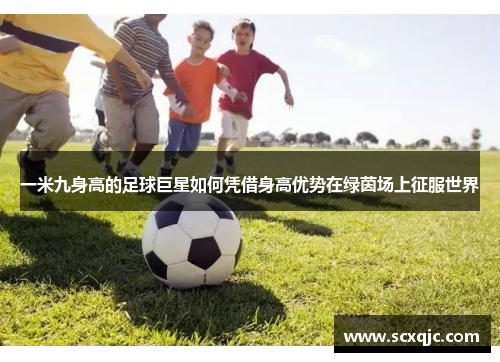 一米九身高的足球巨星如何凭借身高优势在绿茵场上征服世界