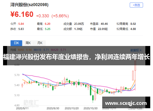 福建浔兴股份发布年度业绩报告，净利润连续两年增长