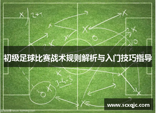 初级足球比赛战术规则解析与入门技巧指导